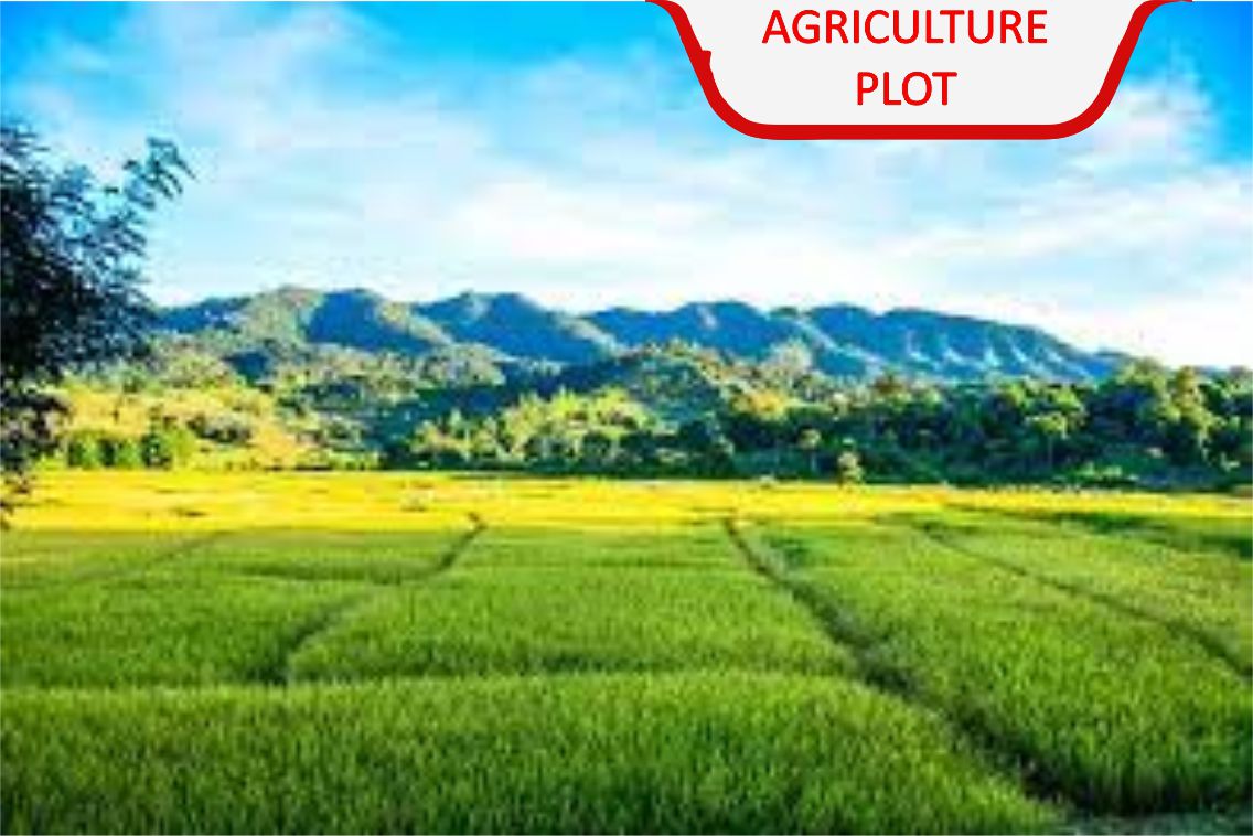 agriculture.jpg